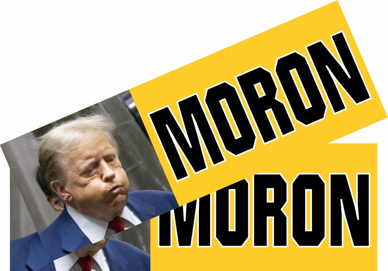 ANTI TRUMP Bumper Sticker or Magnet PAIR - MORON - ANTI Trump Sticker or Magnet