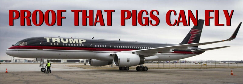 ANTI TRUMP Bumper Sticker or Magnet PAIR Proof PIGS CAN FLY Set of Decals/Magnet