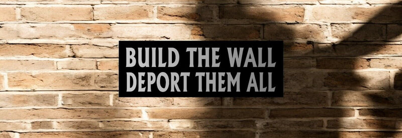 ANTI TRUMP Bumper Sticker or Magnet BUILD THE WALL Decal Buy one get one free