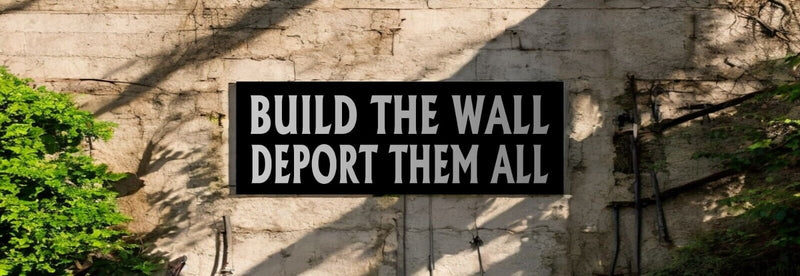 ANTI TRUMP Bumper Sticker or Magnet BUILD THE WALL Decal Buy one get one free