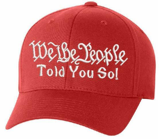 We The People TOLD YOU SO Embroidered 6277 Flex Fit Hat Various Sizes